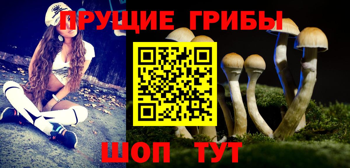 Люберцы  где купить наркоту  Вход с VPN  Псилоцибиновые грибы Magic Shrooms 