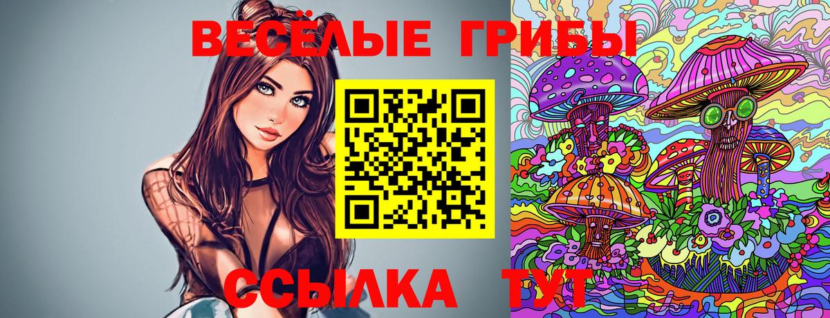 Псилоцибиновые грибы прущие грибы Люберцы